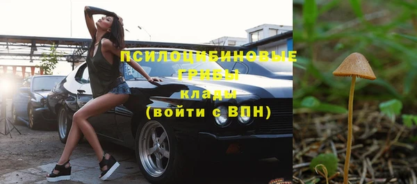 apvp Верхний Тагил