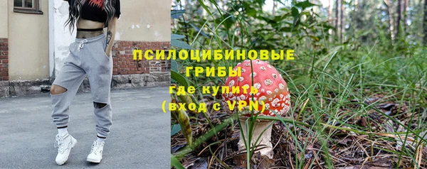 прущий лед Верея