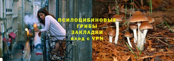 apvp Верхний Тагил