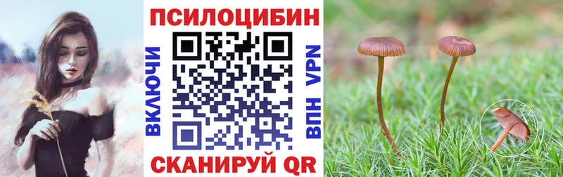 Псилоцибиновые грибы GOLDEN TEACHER Купить где Ардатов